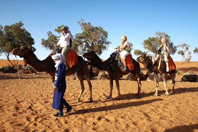 Camel Tour